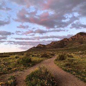 Meet your Posher, Tommy